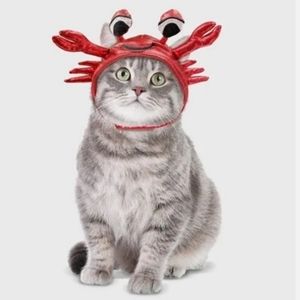 NWT Hyde & Eek Boutique Shiny Red Crab One Size Halloween Costume Cute New